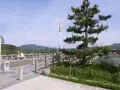 渡月橋の写真_176486