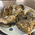 海鮮料理 磯の写真_1765749