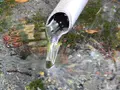 生水の郷の写真_177369