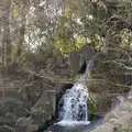 徳川園の写真_1779229