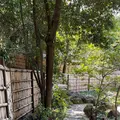 徳川園の写真_1779230