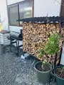 ピッツェリア ピノイゾラ ～ウェスタ～（Pizzeria Pino Isola VESTA）の写真_1803870