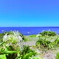 夢崎明神の写真_1885492
