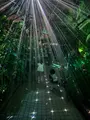 京都府立植物園の写真_1905423