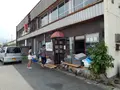 白菊の写真_190670