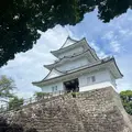 小田原城の写真_1991224