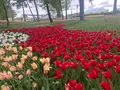 国営ひたち海浜公園の写真_1992503