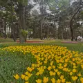 国営ひたち海浜公園の写真_1992504