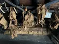 岩瀬家住宅の写真_2011842