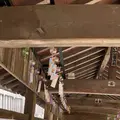 吉備津神社の写真_2018760