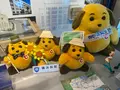 横浜税関本関庁舎の写真_2026826