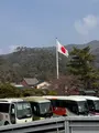 出雲大社の写真_2028633