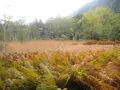 上高地の写真_205352