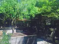 GARDEN HOUSE Kamakura（ガーデンハウス）の写真_206199
