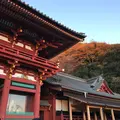 鶴岡八幡宮の写真_211346