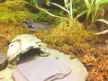 サンシャイン水族館の写真_219466