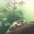 サンシャイン水族館の写真_219467