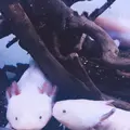 サンシャイン水族館の写真_219468
