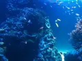 サンシャイン水族館の写真_219472