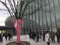 国立新美術館の写真_222197