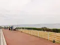 神戸淡路鳴門自動車道・淡路ＳＡ上りの写真_225294