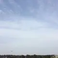 武蔵野の森公園の写真_225961