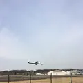 武蔵野の森公園の写真_225962