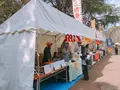 砧公園の写真_226430