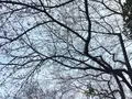 世田谷公園の写真_226547