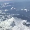 富士山の写真_226607
