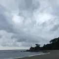 桂浜の写真_226719