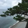 桂浜の写真_226720