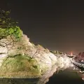 千鳥ヶ淵の写真_226819