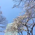 愛宕神社の写真_226933