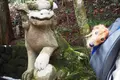箱根神社の写真_226964