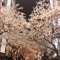 八重洲の写真_227409