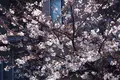 大森海苔のふるさと館の写真_227512