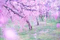 名古屋市農業センターの写真_227547