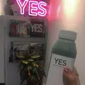 YES TOKYOの写真_227749