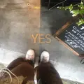 YES TOKYOの写真_227750