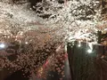 サイドウォーク スタンド （SIDEWALK STAND）の写真_227849