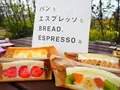 フツウニフルウツの写真_227851