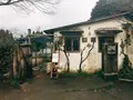 waletの写真_227928