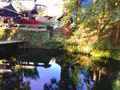 白川水源の写真_227948