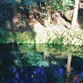 白川水源の写真_227949