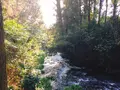白川水源の写真_227952