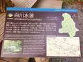 白川水源の写真_227953