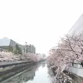 コトリパンの写真_227978