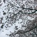 港の見える丘公園の写真_227988