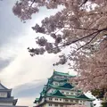 名古屋城の写真_228257